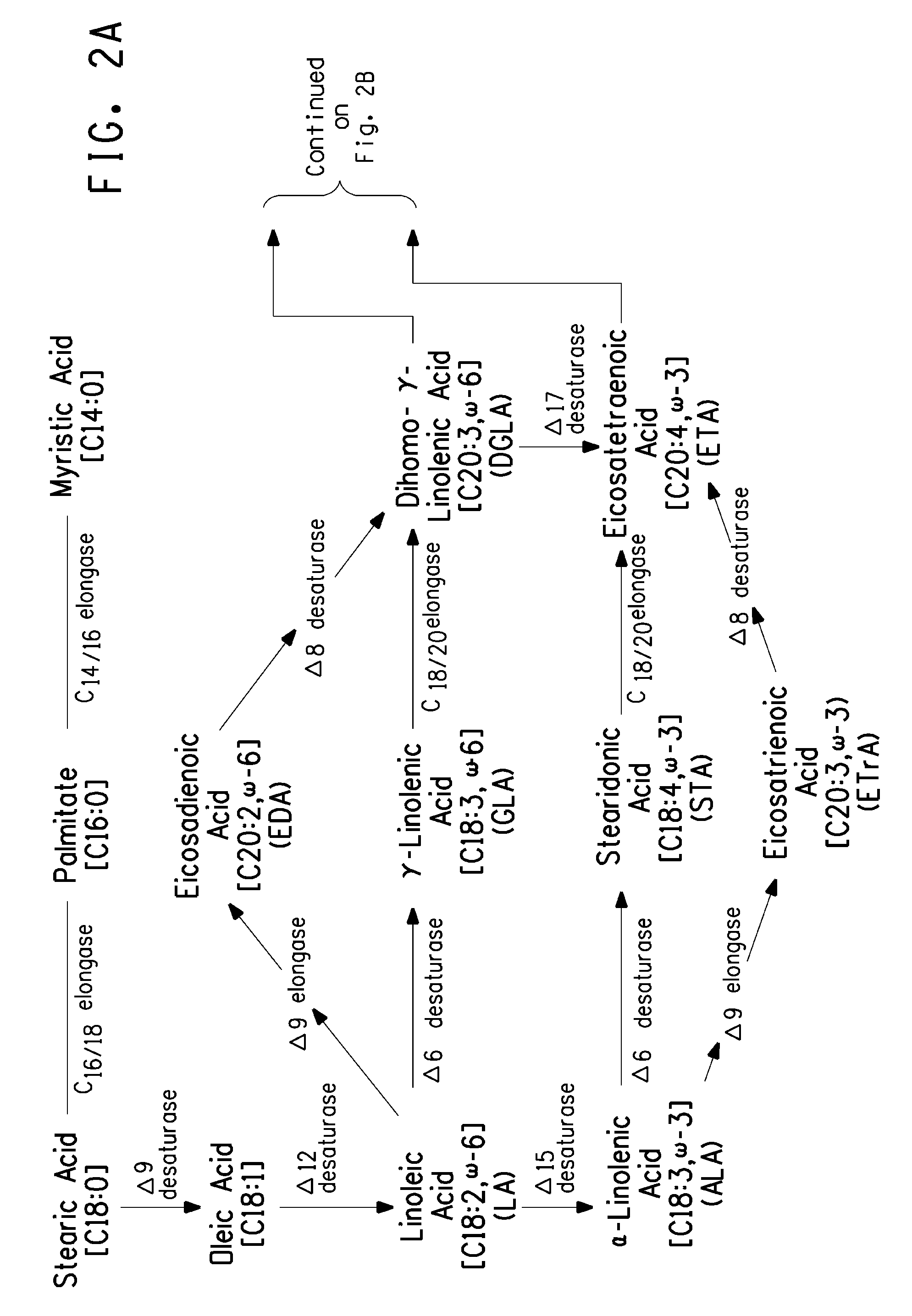 Manipulation of snf1 kinase for altered oil content in oleaginous organisms