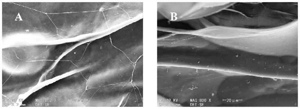 A kind of konjac glucomannan-based antibacterial hydrogel fiber and preparation method thereof