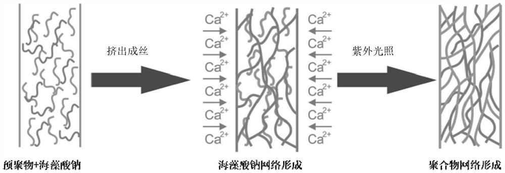 A kind of konjac glucomannan-based antibacterial hydrogel fiber and preparation method thereof