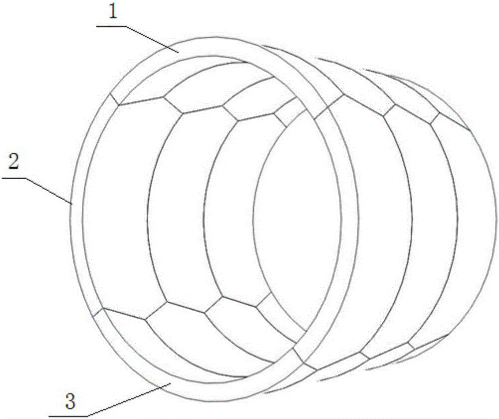 Light-heavy segmental lining combined structure of TBM tunnel and design method thereof