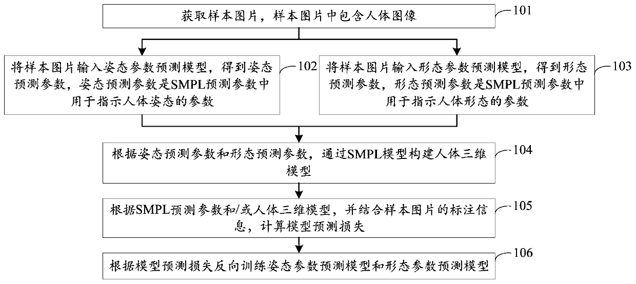 Training method of SMPL parameter prediction model, server and storage medium