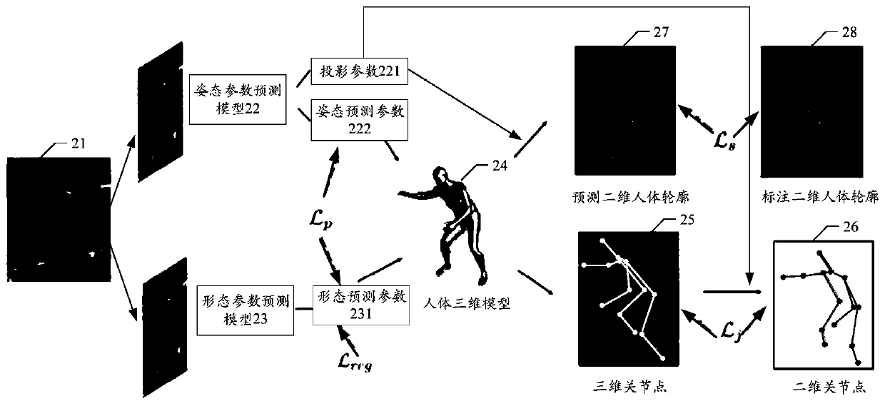 Training method of SMPL parameter prediction model, server and storage medium