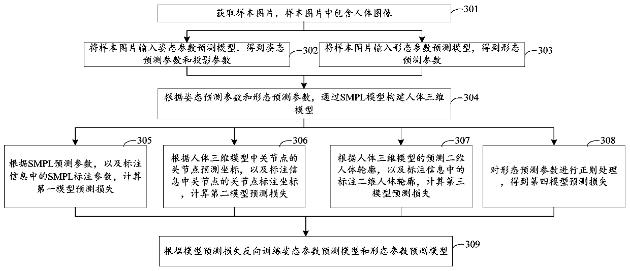 Training method of SMPL parameter prediction model, server and storage medium