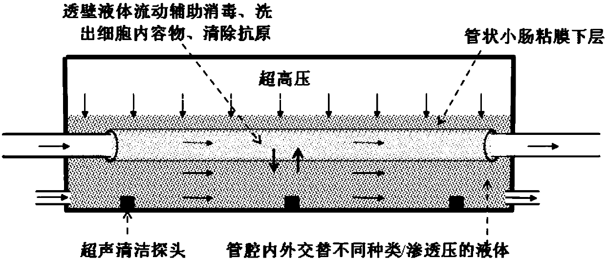 Highly bioactive extracellular matrix material and preparation method and application thereof