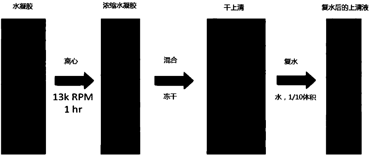 Highly bioactive extracellular matrix material and preparation method and application thereof