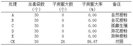 A kind of method for artificial pollination of Chinese bitter rose