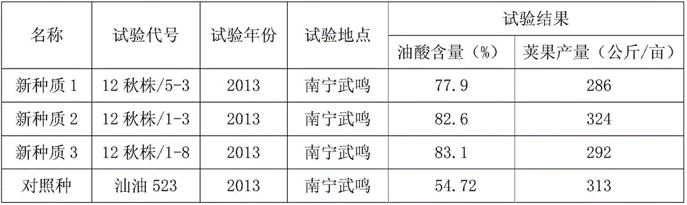 Breeding method of high oleic acid peanut germplasm