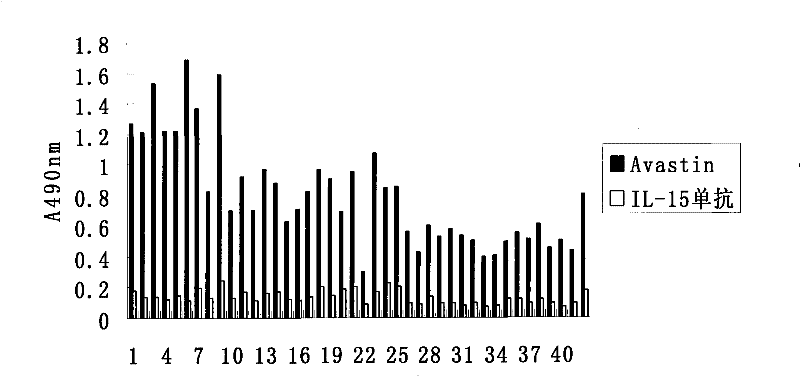 Vaccine based on simulating human blood vessel endothelial cell growth factor VEGF epitope and preparation method thereof