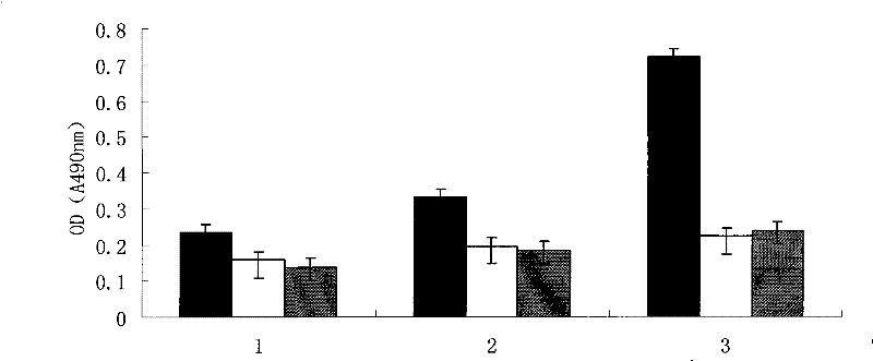 Vaccine based on simulating human blood vessel endothelial cell growth factor VEGF epitope and preparation method thereof