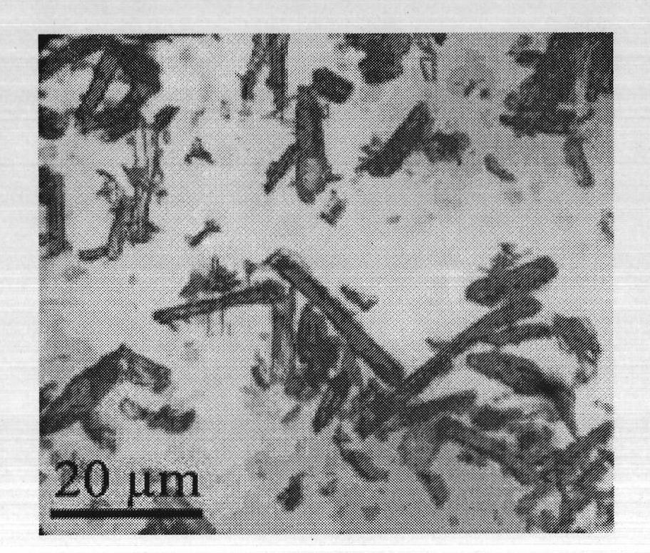 Preparation method of cellulose nanocrystal/carbon black/natural rubber composite