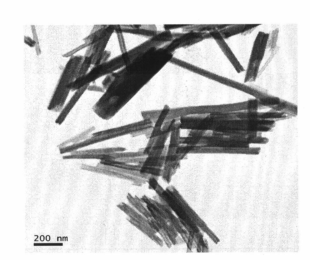 Preparation method of cellulose nanocrystal/carbon black/natural rubber composite