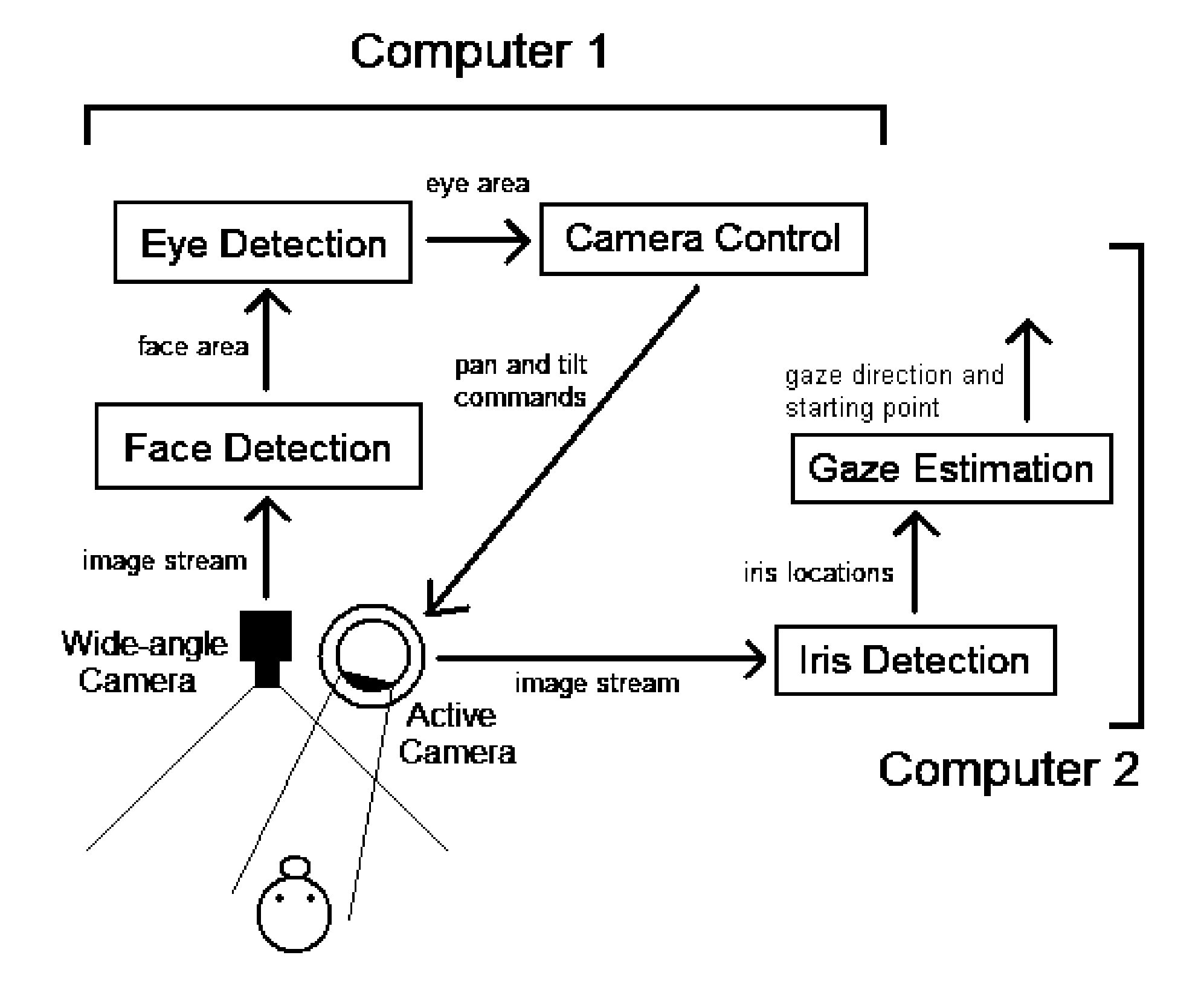 Real time eye tracking for human computer interaction