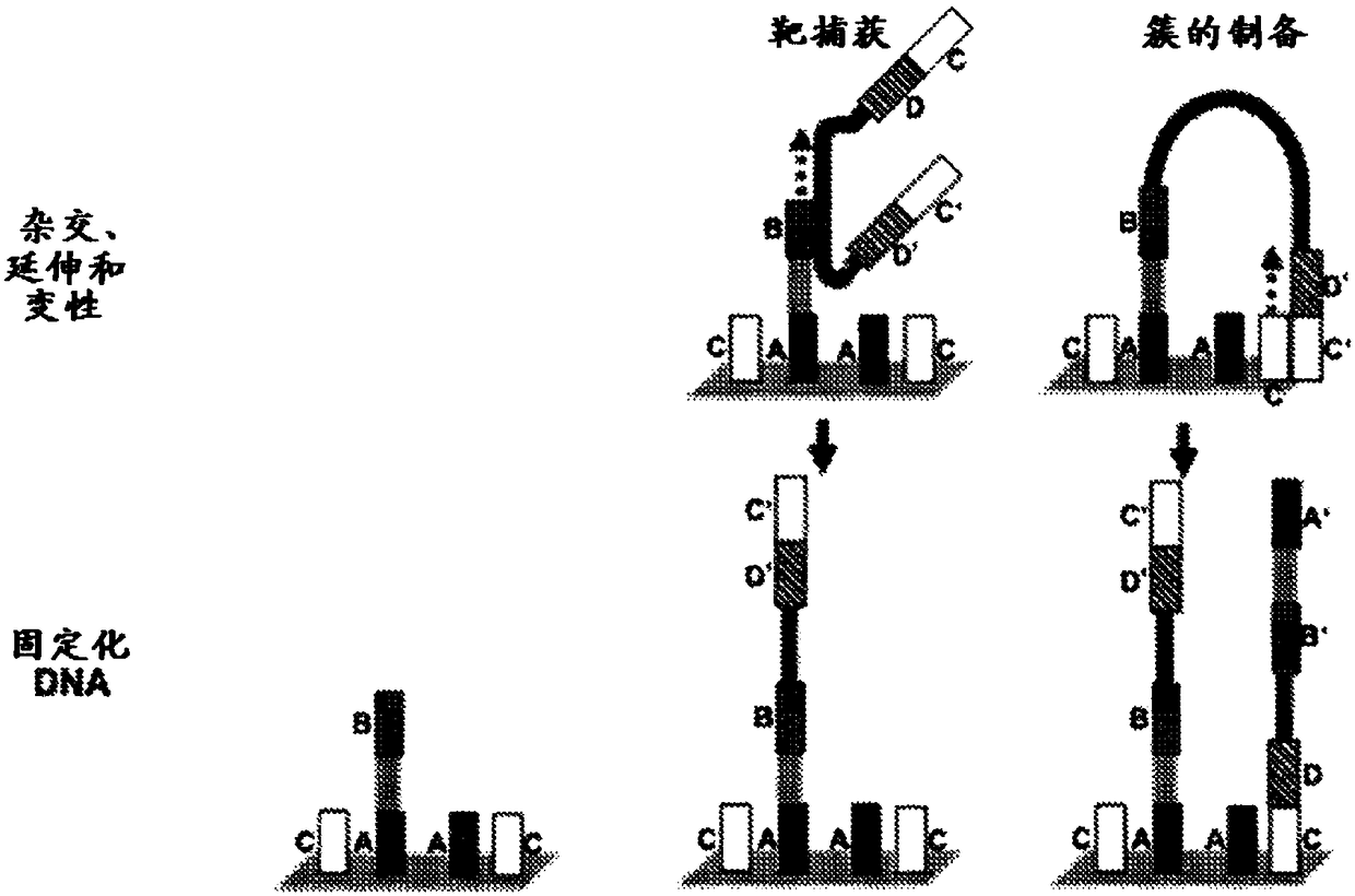 System and methods for detecting genetic variation