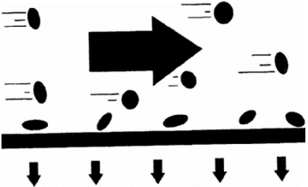 Preparation method and application of pig small intestine compound antibacterial peptide