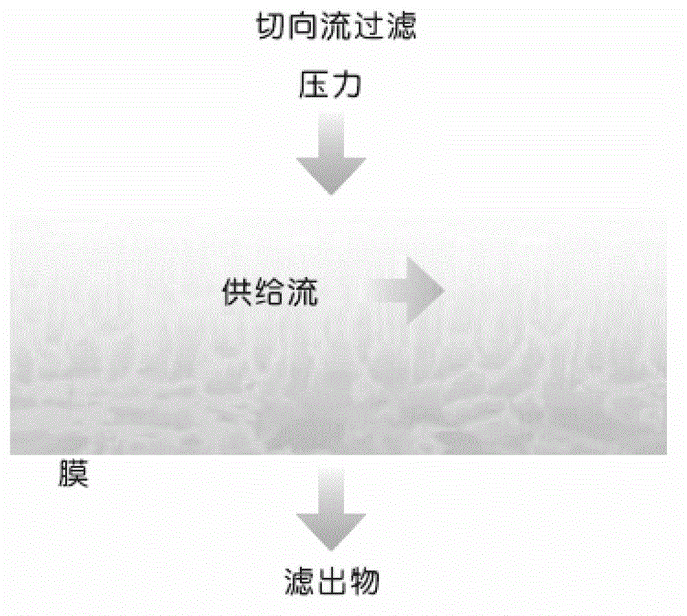 Preparation method and application of pig small intestine compound antibacterial peptide