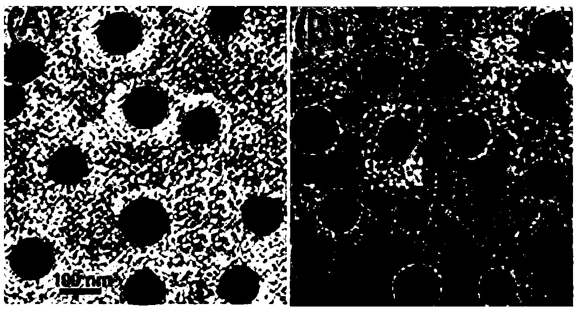 Antileukemie GSH/pH responsive nanometer drug delivery system and preparation method thereof