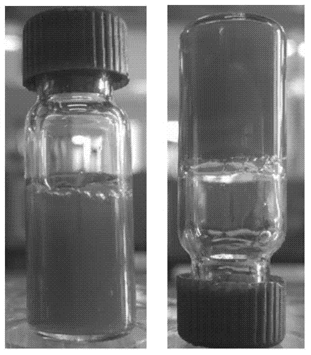 Collagen gel containing nanogold, and prepetition method and application thereof