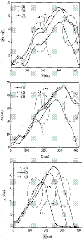 Plasmon effect-based electric field-assisted method for repairing self-morphology of Ag nanowires