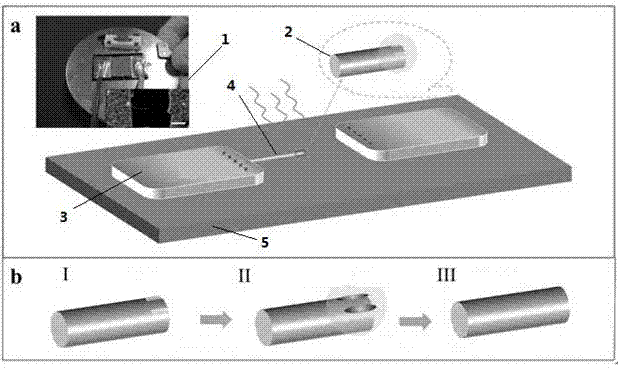 Plasmon effect-based electric field-assisted method for repairing self-morphology of Ag nanowires