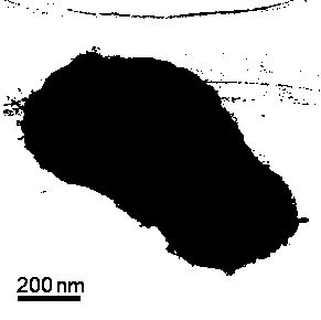 Manufacturing method of lithium-sulfur battery positive electrode and lithium-sulfur battery