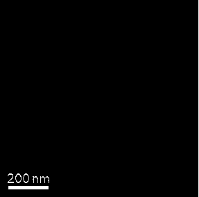 Manufacturing method of lithium-sulfur battery positive electrode and lithium-sulfur battery