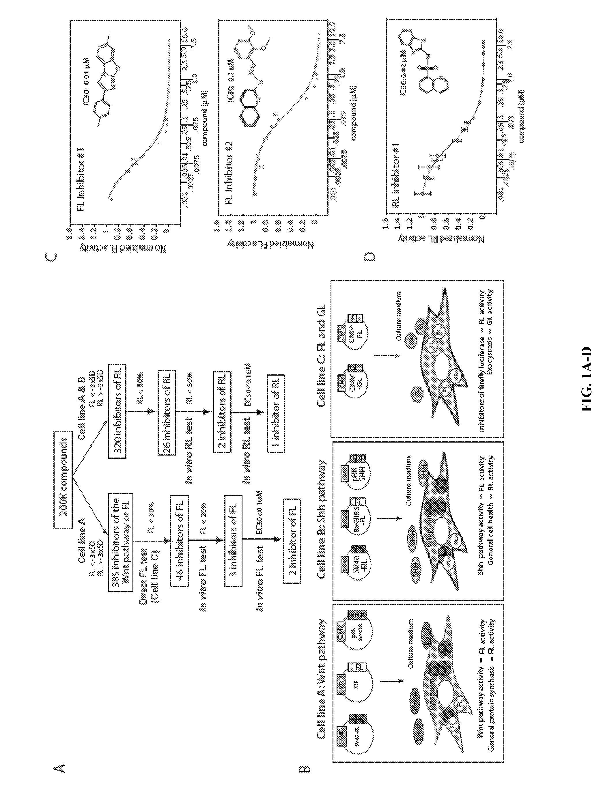 Multiplexed Luciferase Reporter Assay Systems