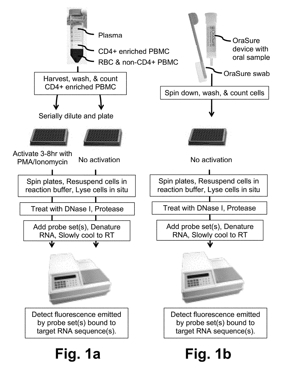 Fluorogenic probes and their use in quantitative detection of target RNA sequences