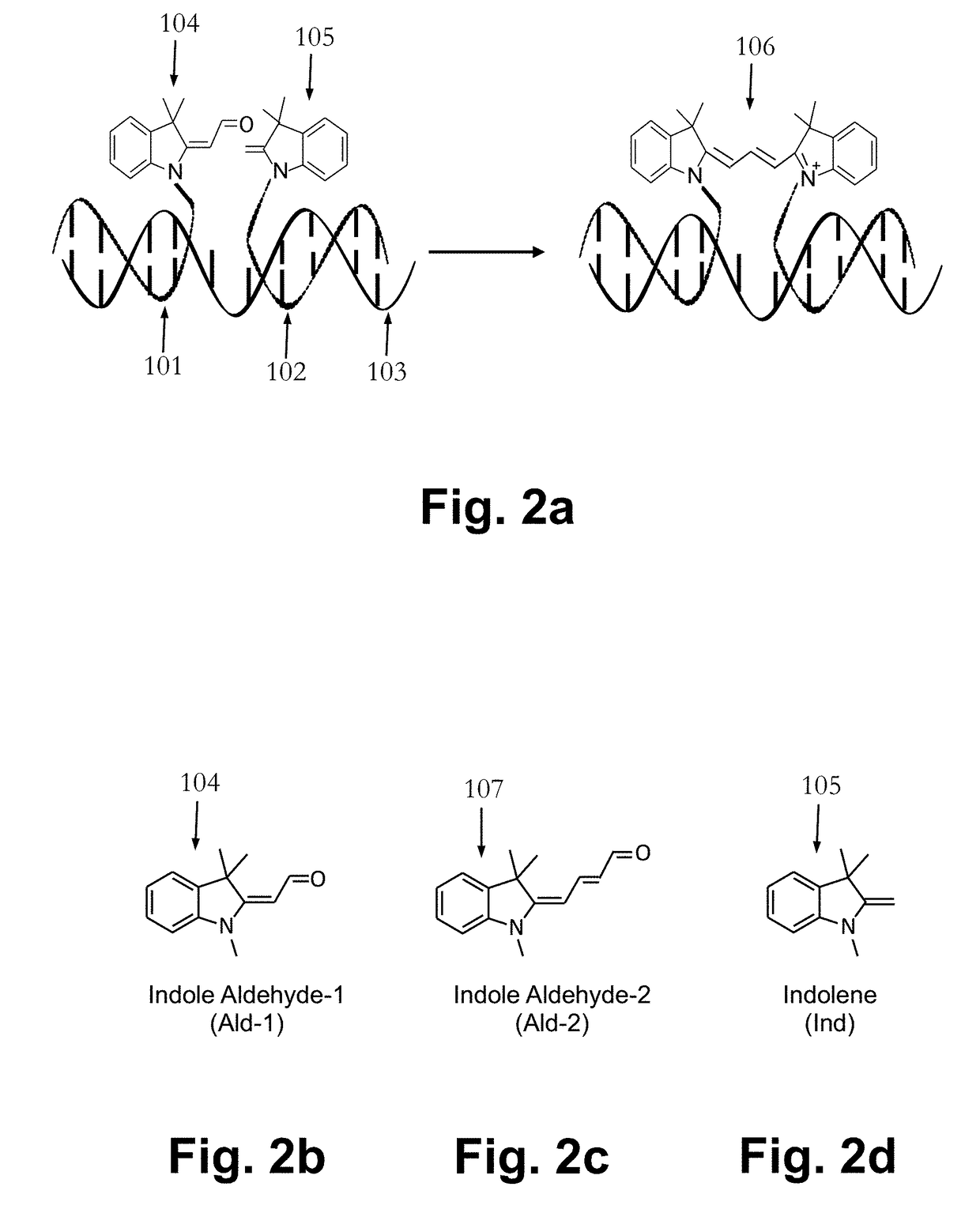 Fluorogenic probes and their use in quantitative detection of target RNA sequences