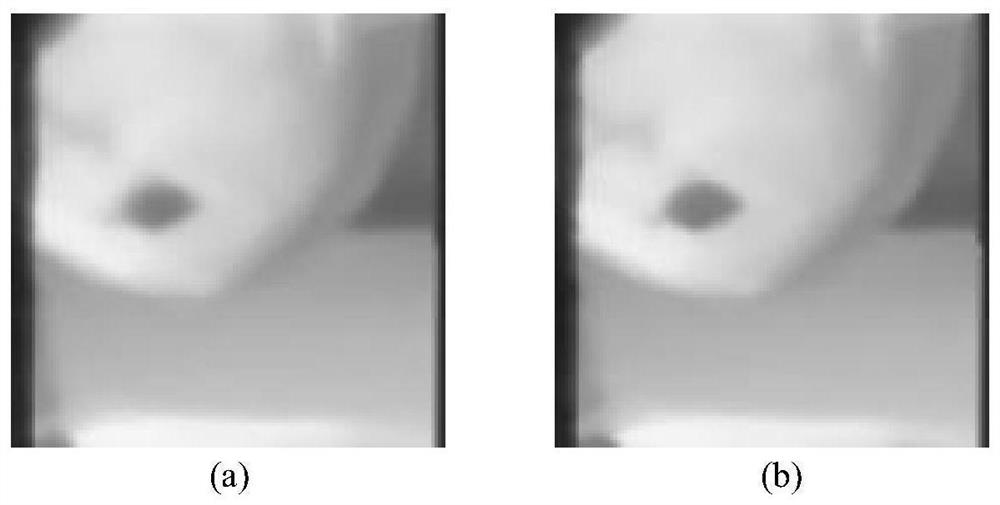 Three-dimensional element image array coding method based on five-dimensional quadratic kernel modeling