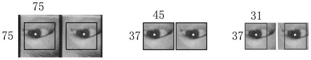 Three-dimensional element image array coding method based on five-dimensional quadratic kernel modeling