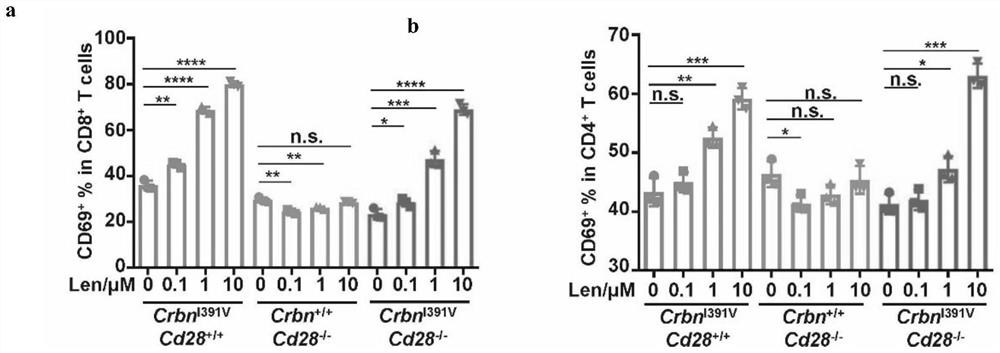 Application of lenalidomide or analogue thereof as immunomodulator