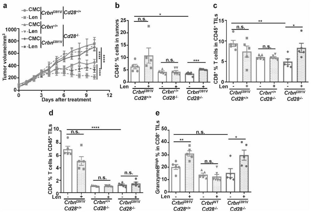 Application of lenalidomide or analogue thereof as immunomodulator