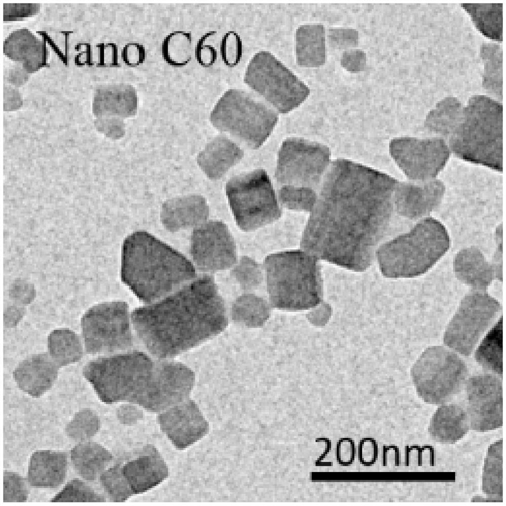 Application of a composition of fullerene C60 nanocrystals combined with camkii inhibitors