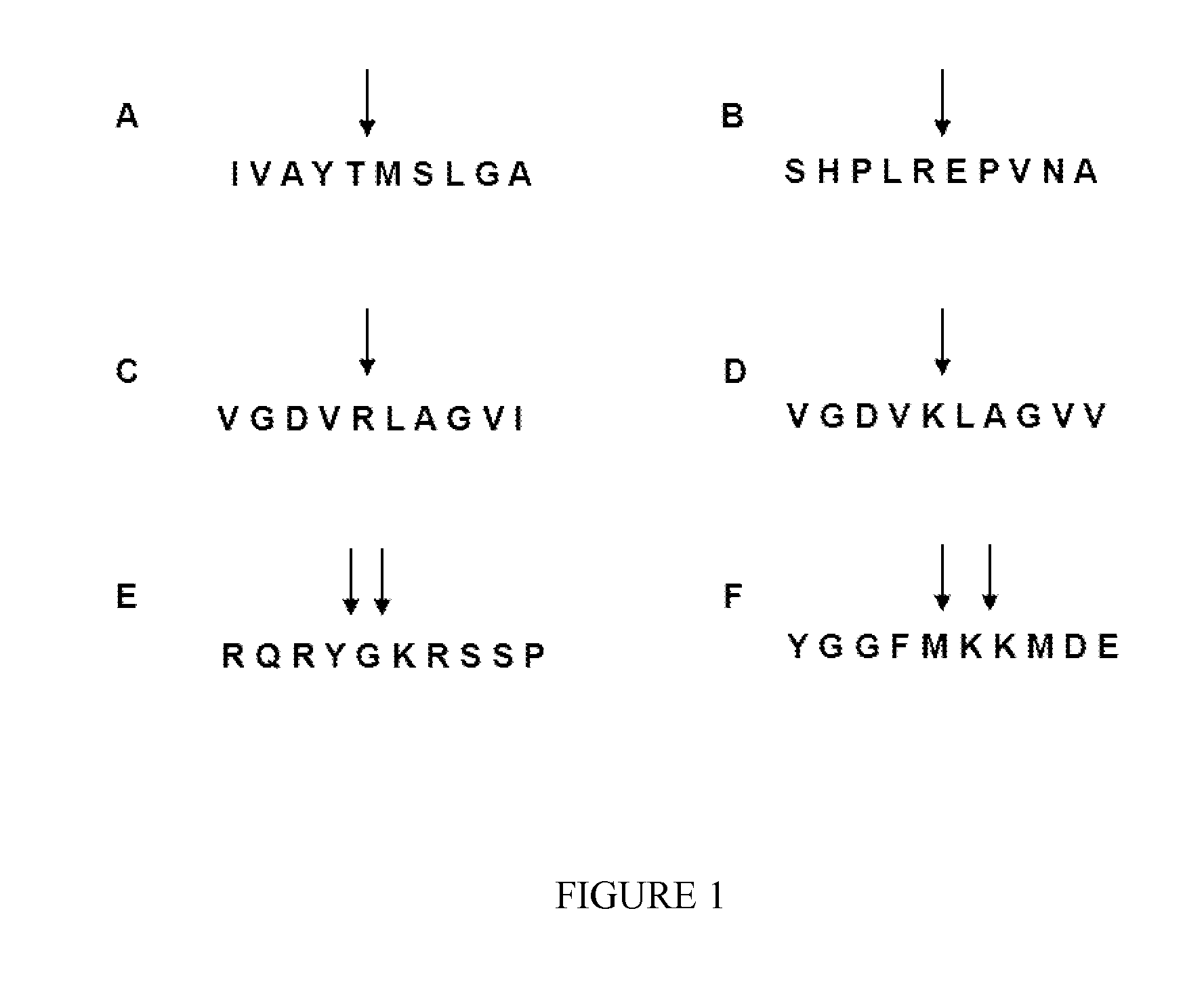 Methods For Inhibiting Viruses By Targeting Cathepsin-L Cleavage Sites In The Viruses' Glycoproteins