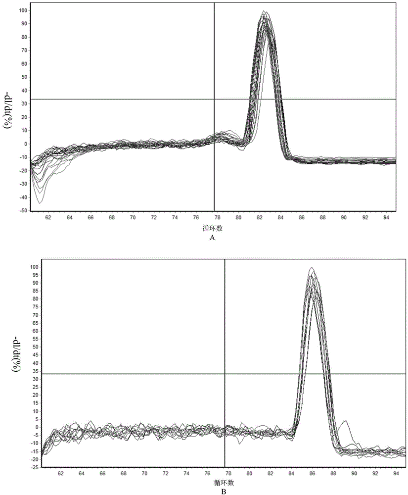 Fluorescent quantitative PCR detection method for TLR3 (toll-like receptors) gene of duck