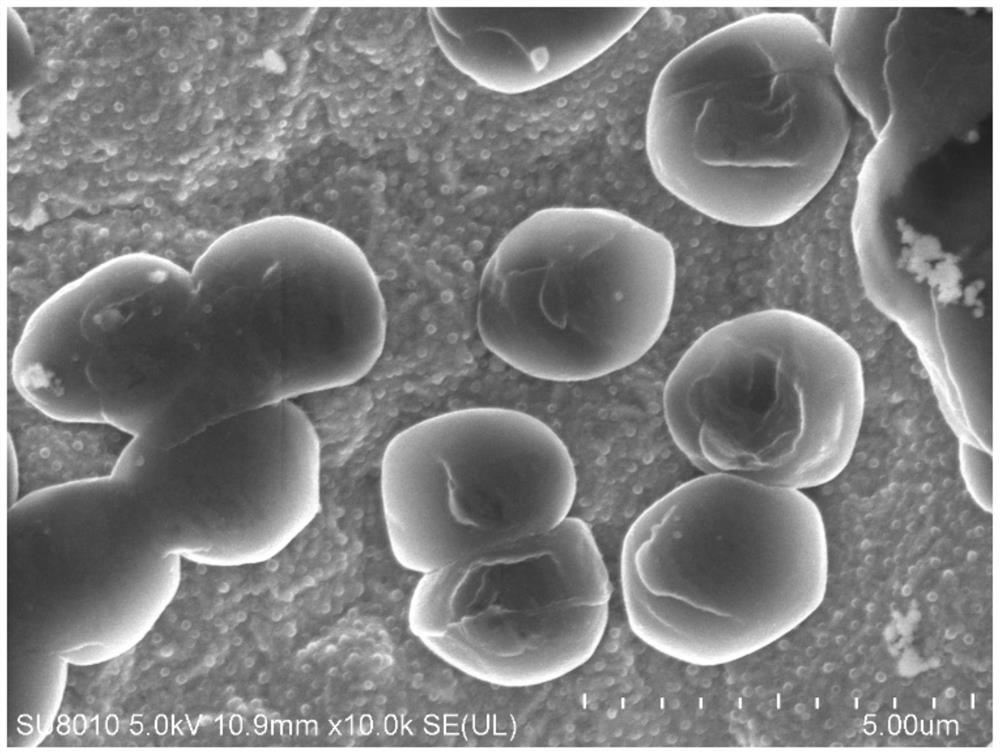 Carbonic ester electrolyte and metal lithium battery