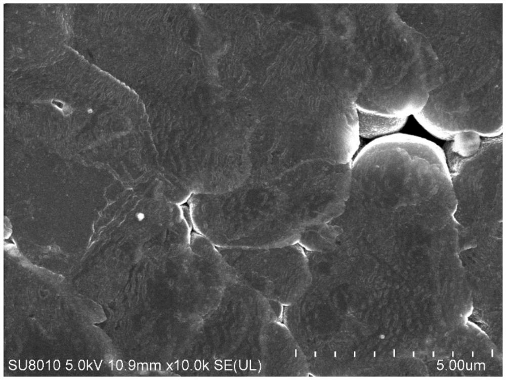 Carbonic ester electrolyte and metal lithium battery