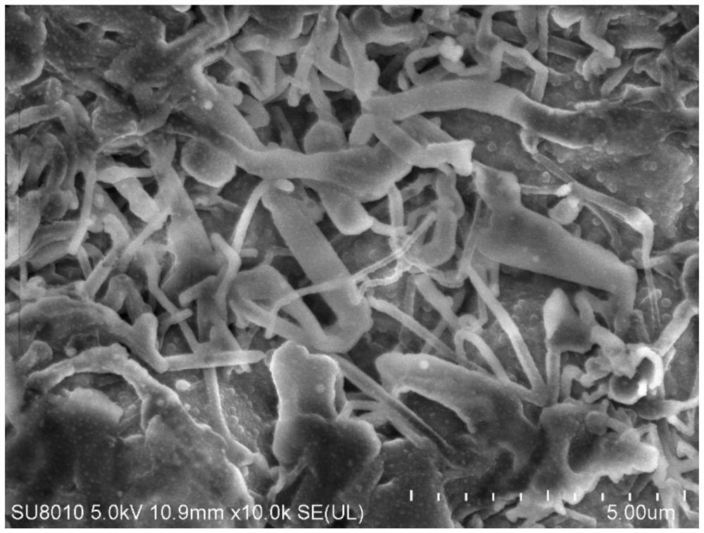 Carbonic ester electrolyte and metal lithium battery