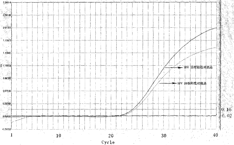 Kit for detecting high-risk human papillomavirus and its preparation and application