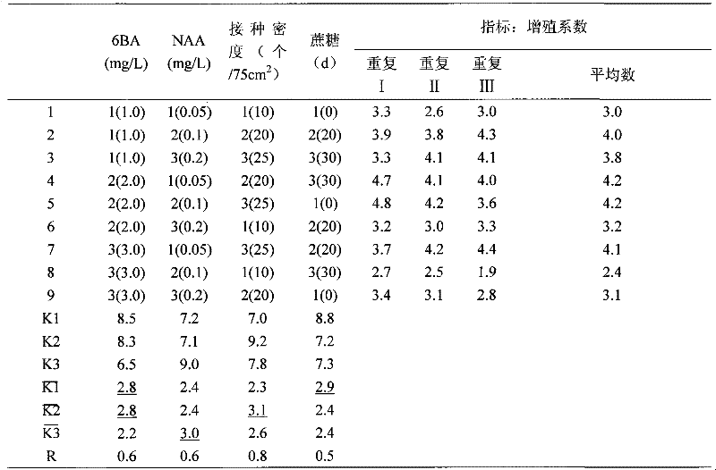 Method for improving reproduction coefficient of Phalaenopsis hybrid