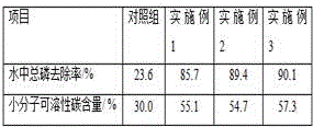 Haloferax-denitrificans-containing desilting agent and application thereof in salt drainage concealed pipes