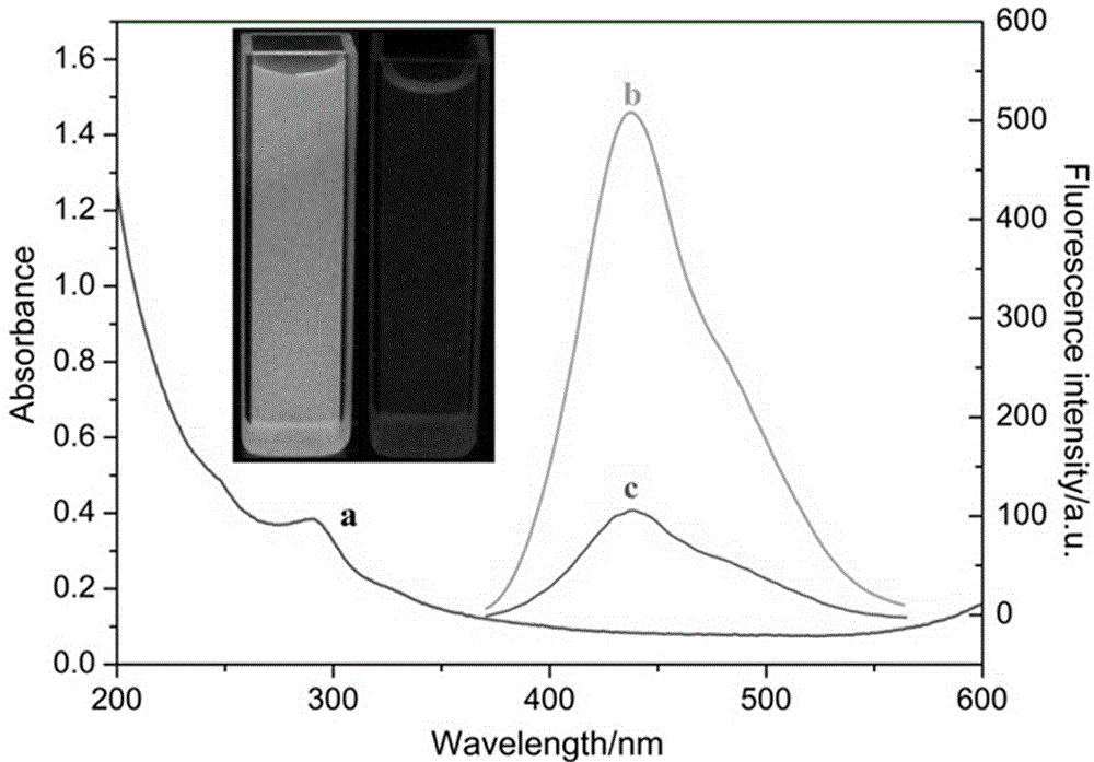 Preparation and application of fluorescent carbon dot nanoprobe for detecting methylene blue and living cell imaging