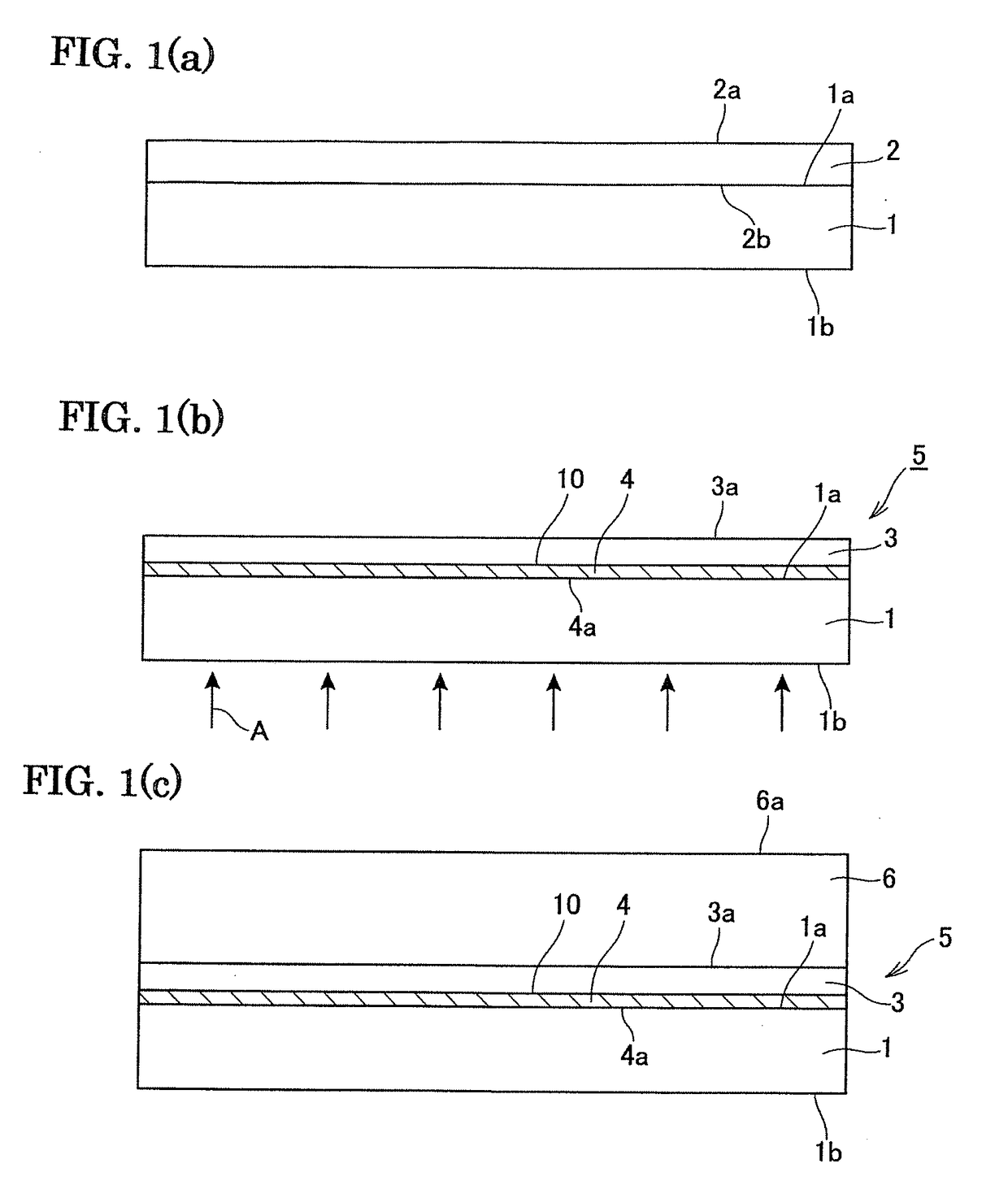 Methods of producing seed crystal substrates and group 13 element nitride crystals, and seed crystal substrates