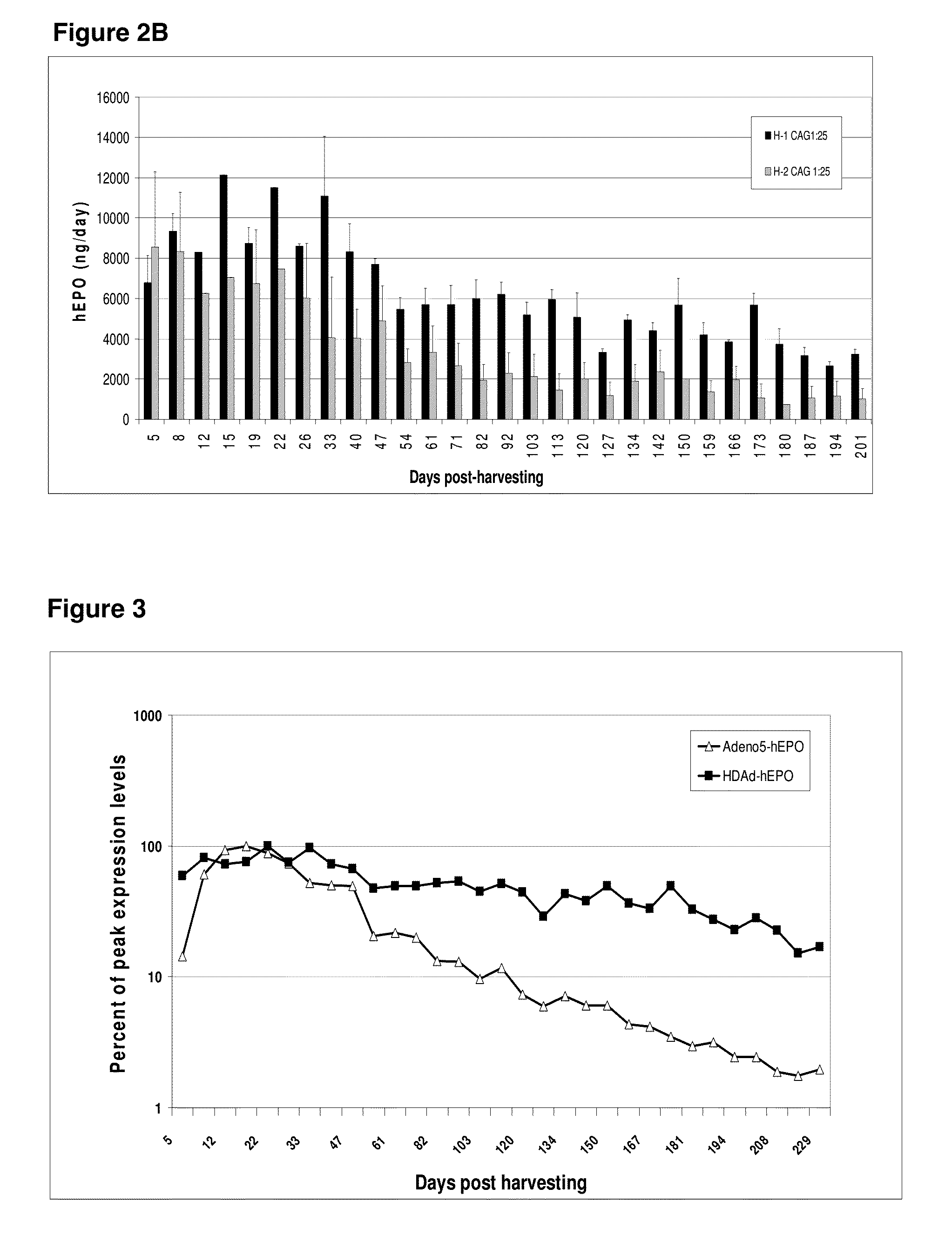 Long lasting drug formulations