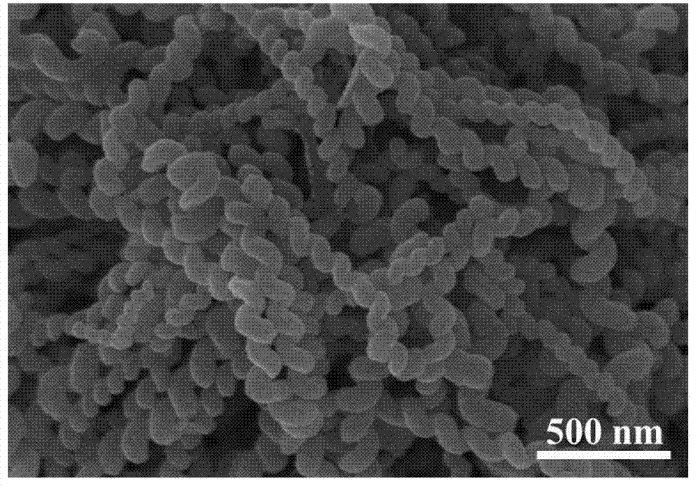 Chiral poly alkyne nano-fiber preparation method