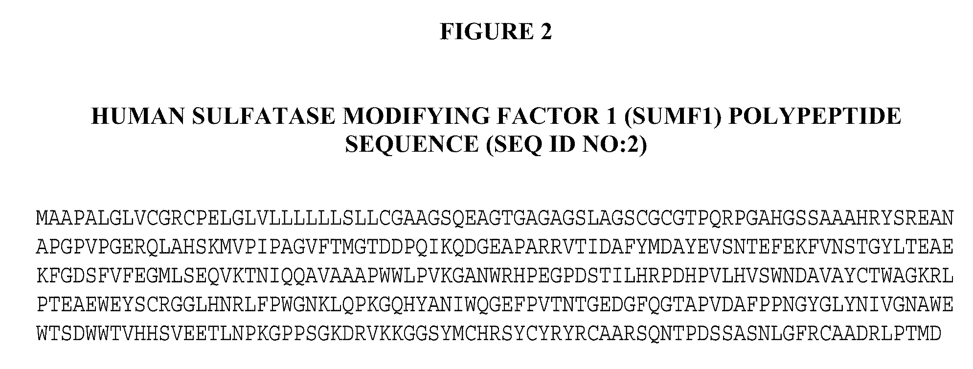 Manufacture of Active Highly Phosphorylated Human Lysosomal Sulfatase Enzymes and Uses Thereof