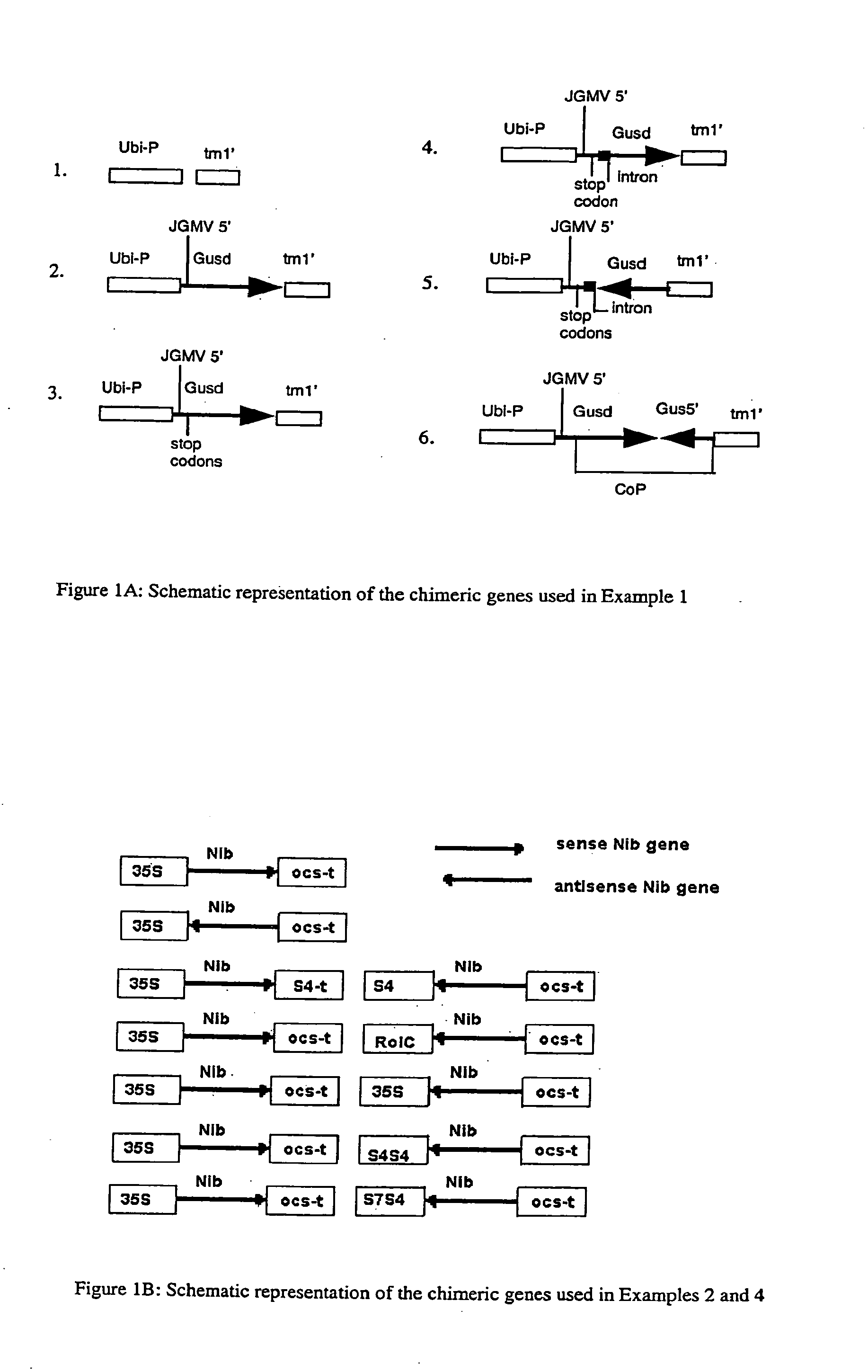 Methods and means for obtaining modified phenotypes