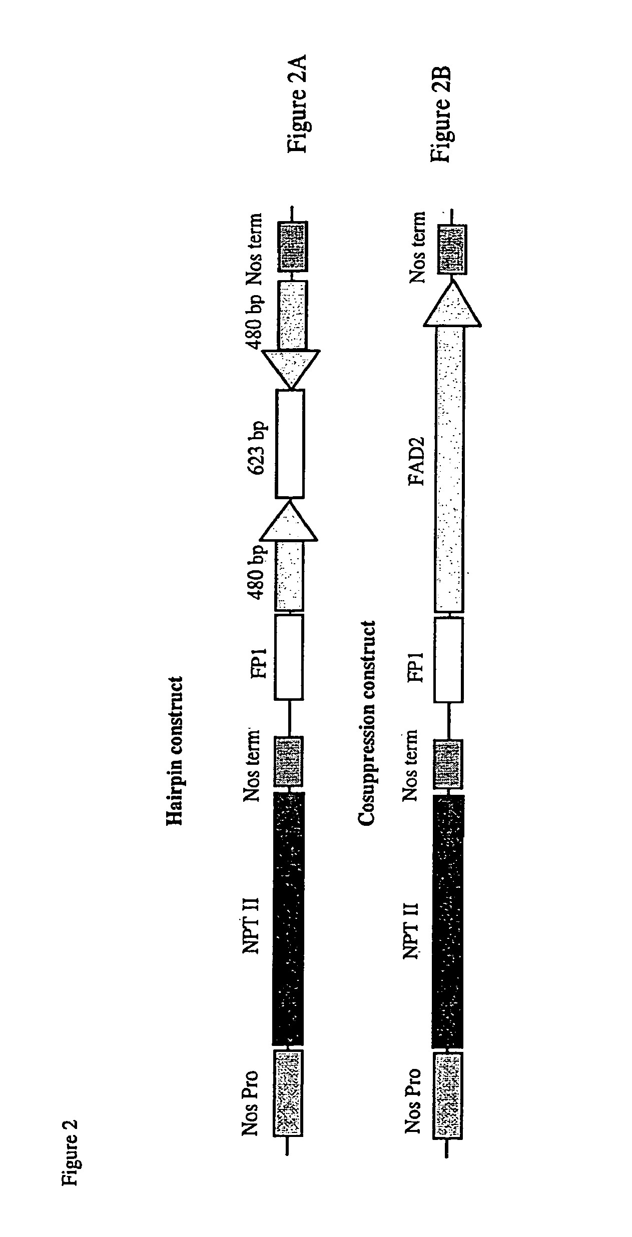 Methods and means for obtaining modified phenotypes