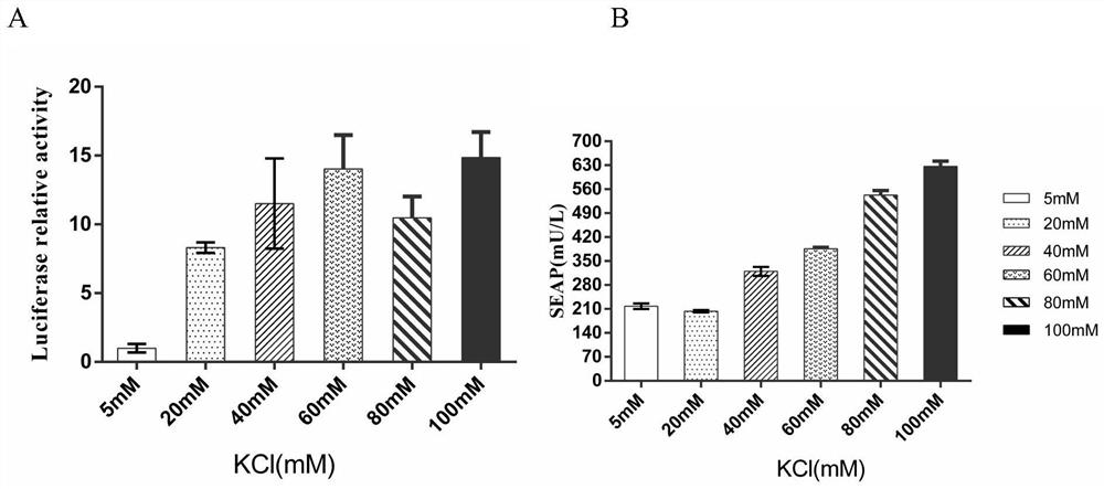 Muscle-derived cell blood glucose response type expression SIA promoter, recombinant vector and construction method and application thereof