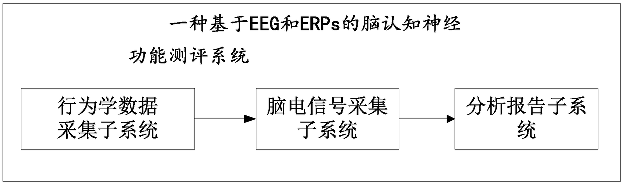 EEG and ERPs based brain cognitive nerve function assessment system and method